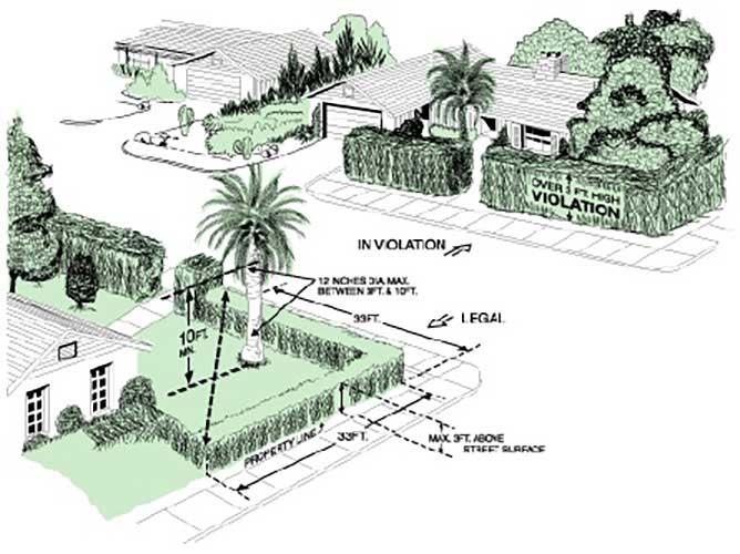 Illustration of a corner lot showing legal vs. in-violation landscaping height near the street